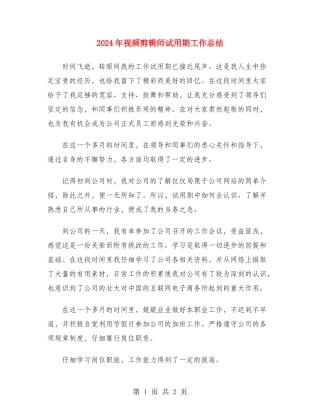 2024年视频剪辑师试用期工作总结
