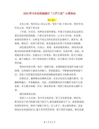 2024学习乐东经验-践行“三严三实”心得体会