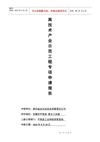 高技术产业示范工程专项申请报告1