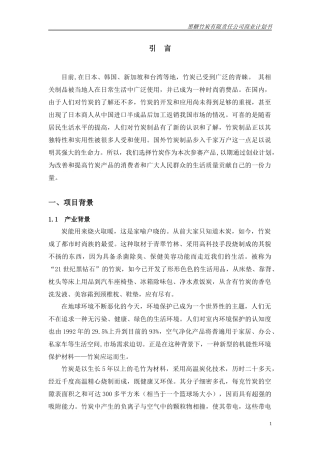 黑糖竹炭有限责任公司商业计划书