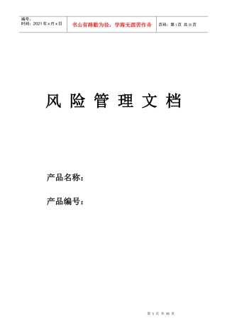 风险管理报告模板