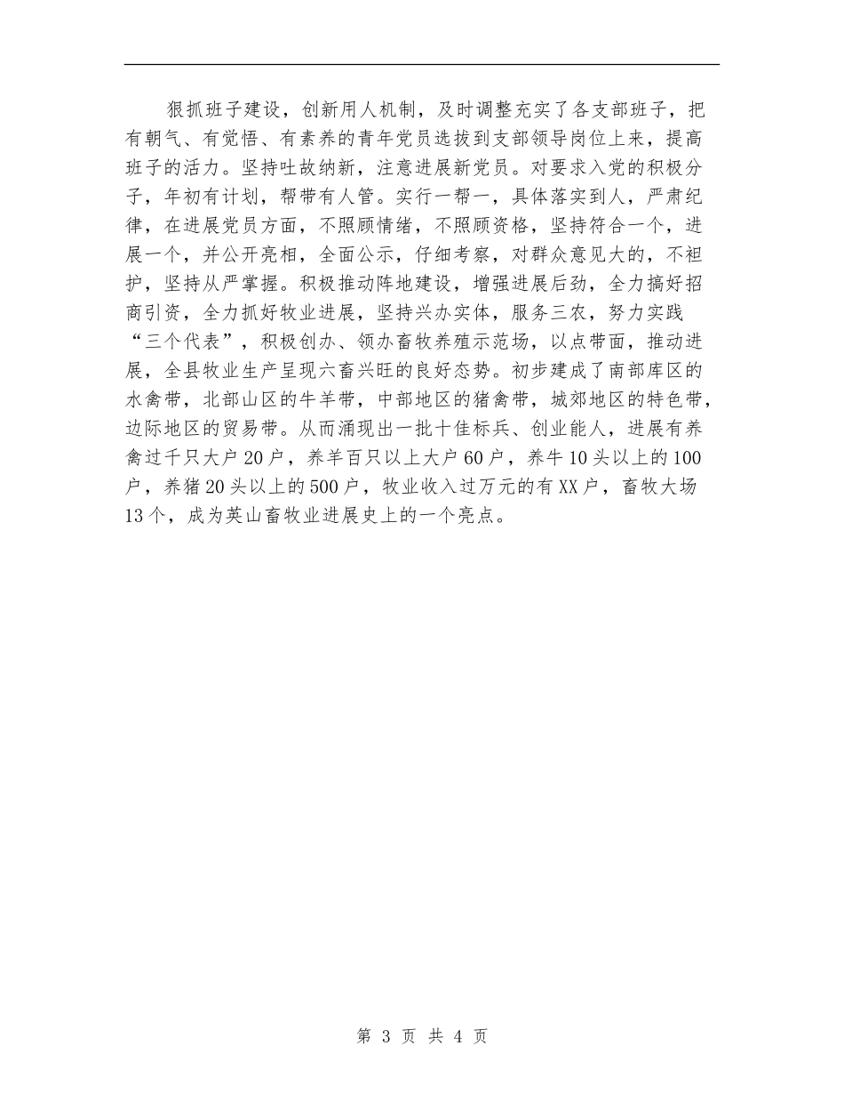畜牧局党建工作总结范文_第3页