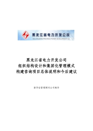 黑龙江省电力开发公司组织结构设计和集团化管理模式构建咨询项目总体说明和今后建议