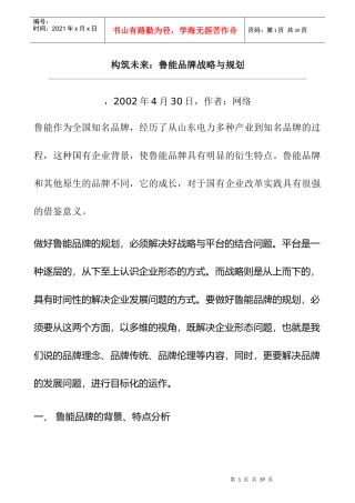 鲁能品牌战略与规划