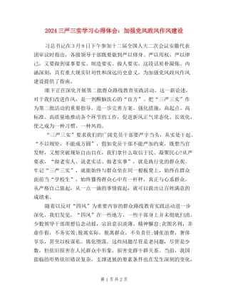 2024三严三实学习心得体会：加强党风政风作风建设