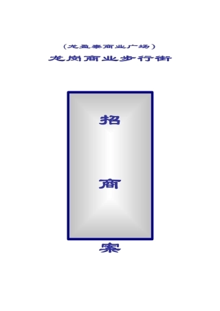 龙岗商业步行街房地产投资招商管理方案
