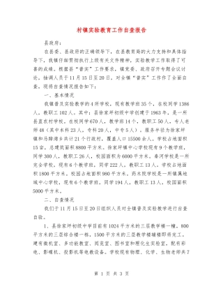 村镇实验教育工作自查报告