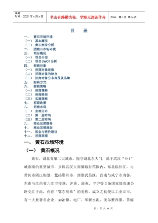 黄石家天下招商策划书