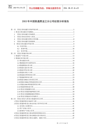 黑龙江联通分公司经营分析报告