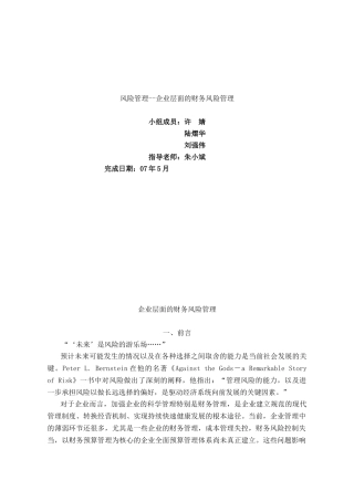 风险管理--企业层面的财务风险管理