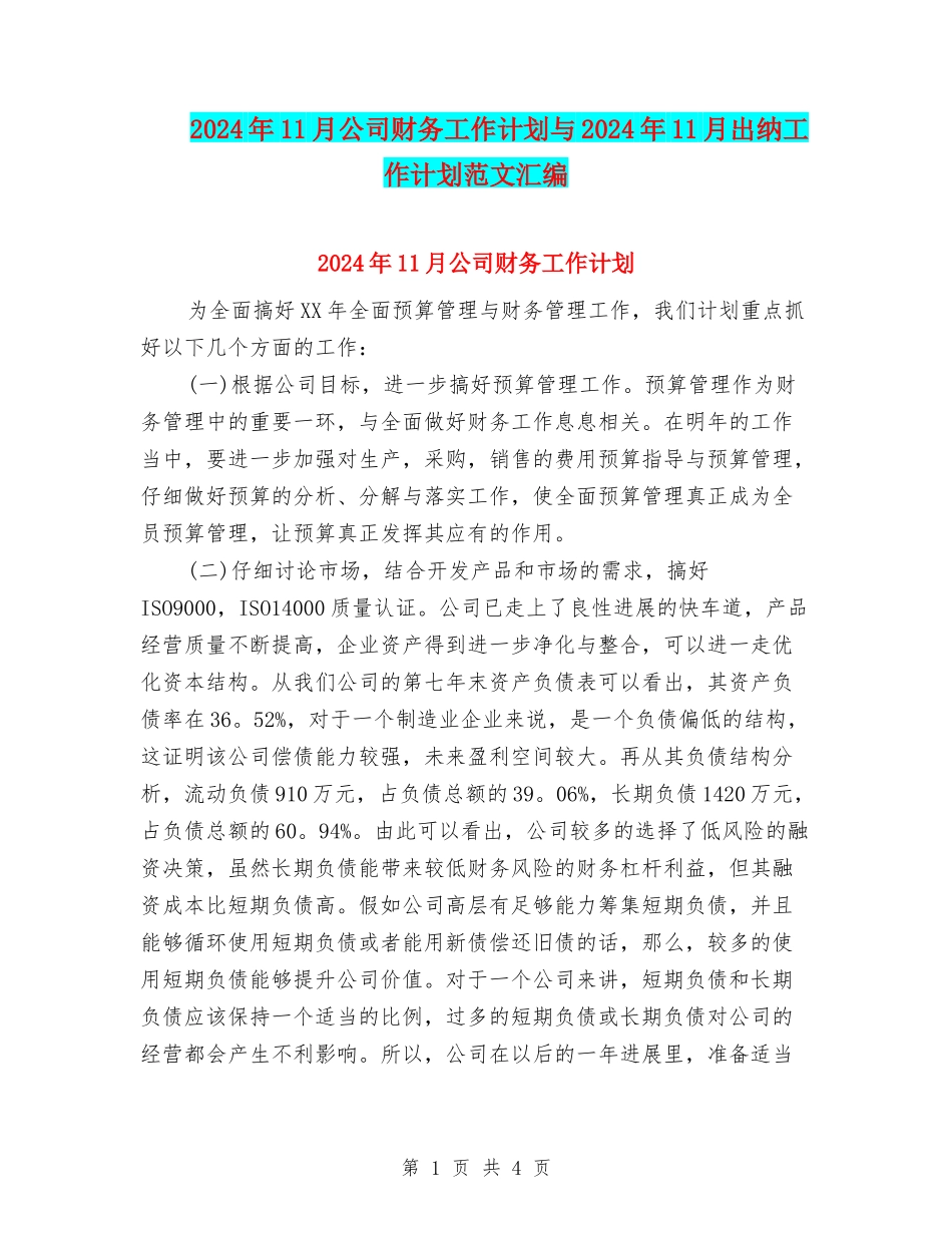 2024年11月公司财务工作计划与2024年11月出纳工作计划范文汇编_第1页
