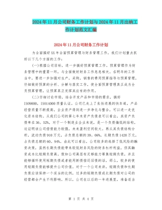2024年11月公司财务工作计划与2024年11月出纳工作计划范文汇编