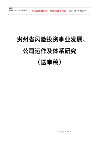 风险投资事业发展、公司运作及体系研究（送审稿)