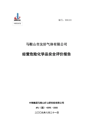 马鞍山市友好气体有限公司经营评价报告