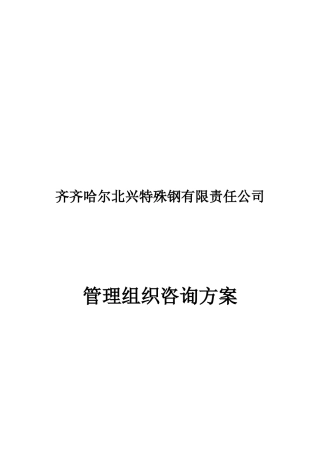齐齐哈尔某公司管理组织设计方案