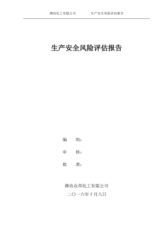 风险评估报告(DOC30页)