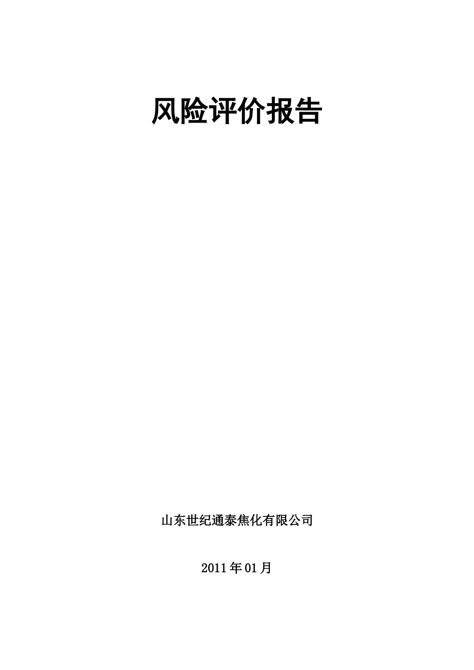 风险评价报告1765402344_第1页