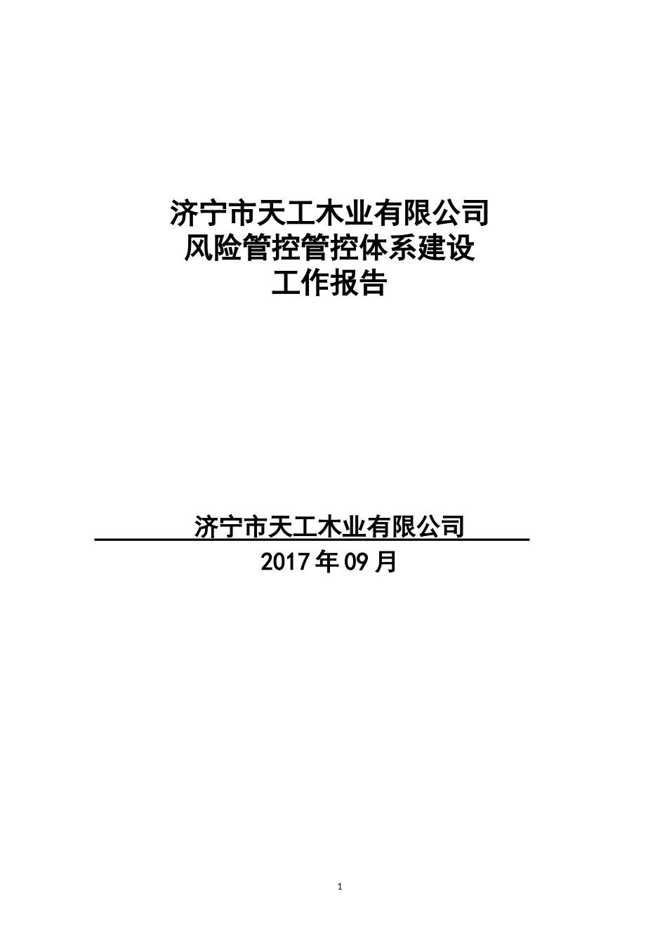 风险分级管控体系建设工作报告模板_第1页