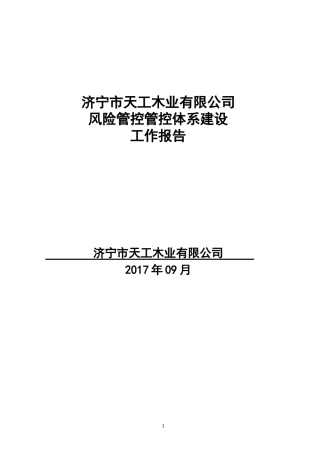 风险分级管控体系建设工作报告模板