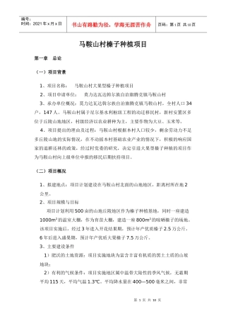 马鞍山村榛子种植项目