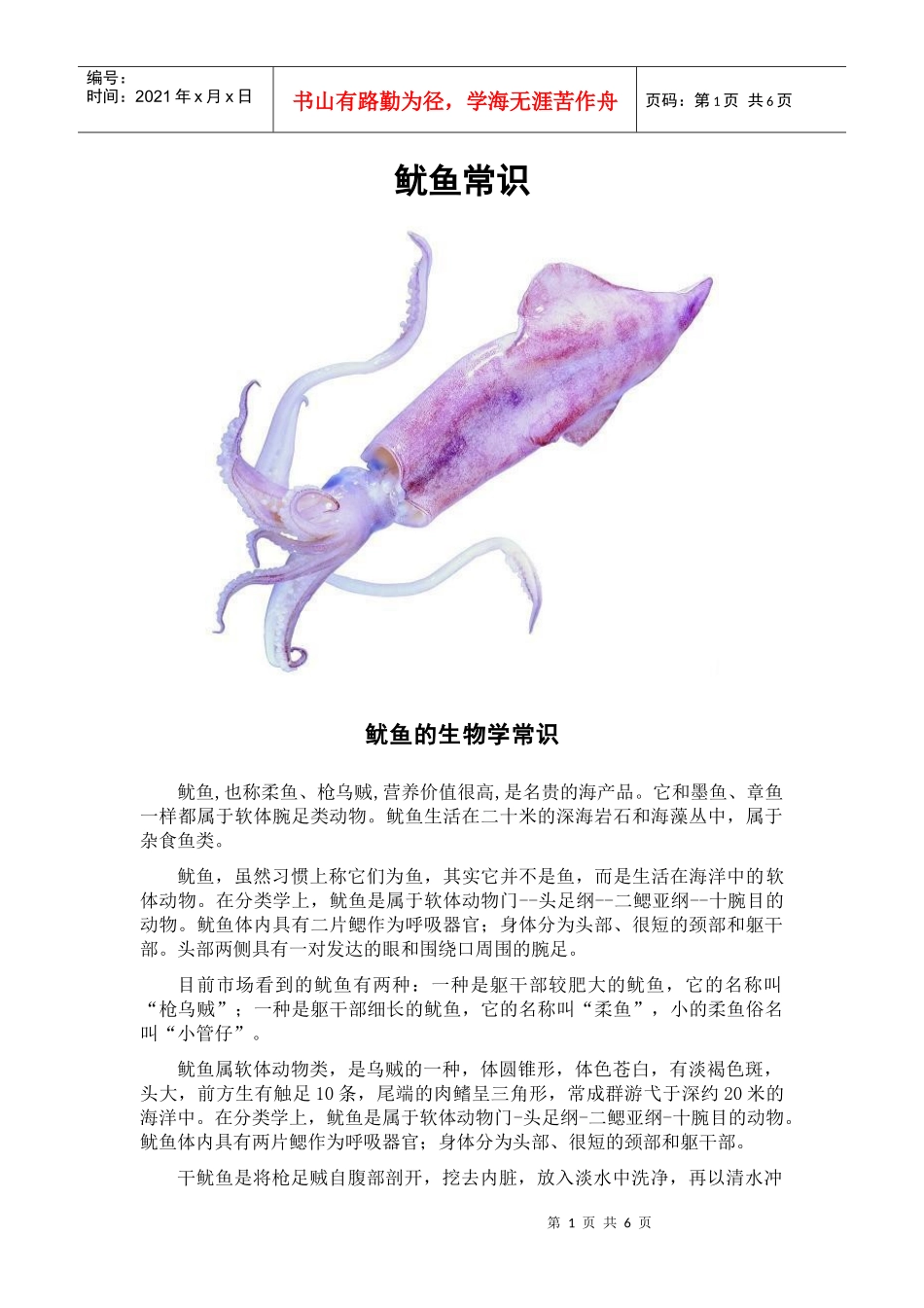 鱿鱼的营养价值及烹饪常识_第1页