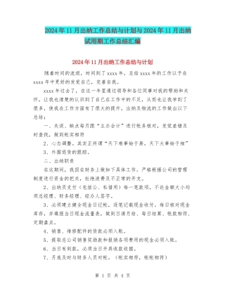2024年11月出纳工作总结与计划与2024年11月出纳试用期工作总结汇编