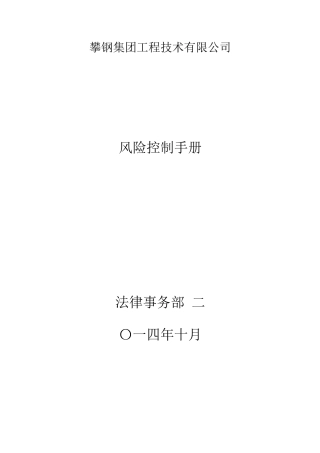 风险管理控制手册(DOC41页)