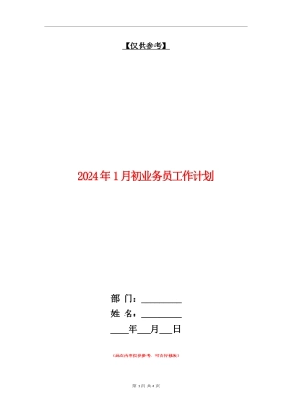 2024年1月初业务员工作计划