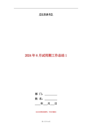 2024年6月试用期工作总结1