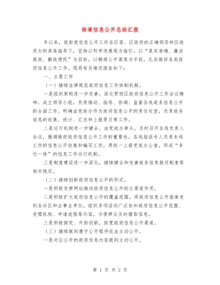 街道信息公开总结汇报