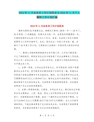 2024年11月业务员工作计划范本与2024年11月个人履职工作计划汇编