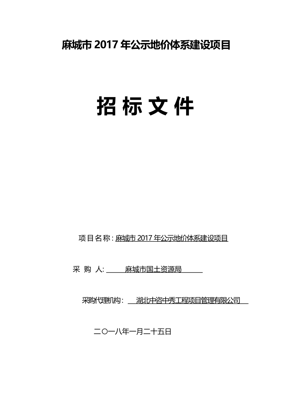 麻城市年公示地价体系建设项目_第1页