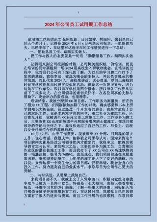 2017年公司员工试用期工作总结