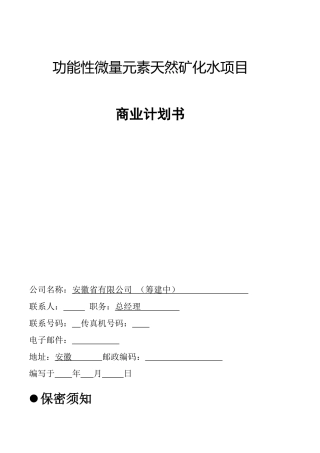 麦饭石商业计划书