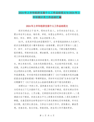 2024年上半年经济支部个人工作总结范文与2024年上半年统计员工作总结汇编