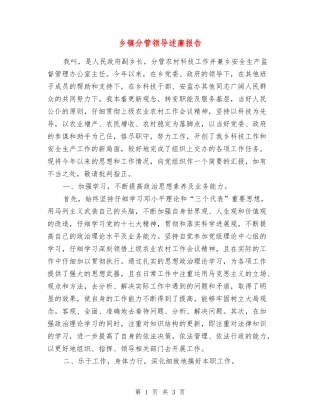 乡镇分管领导述廉报告