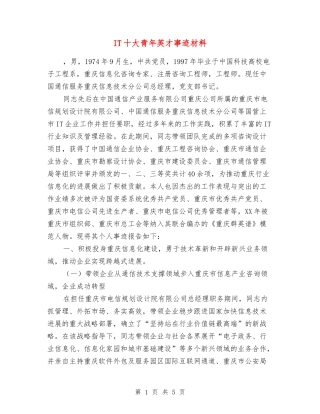 IT十大青年英才事迹材料