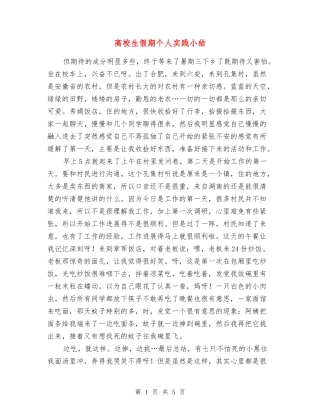 大学生假期个人实践小结