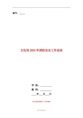 文化局2024年消防安全工作总结【新版】