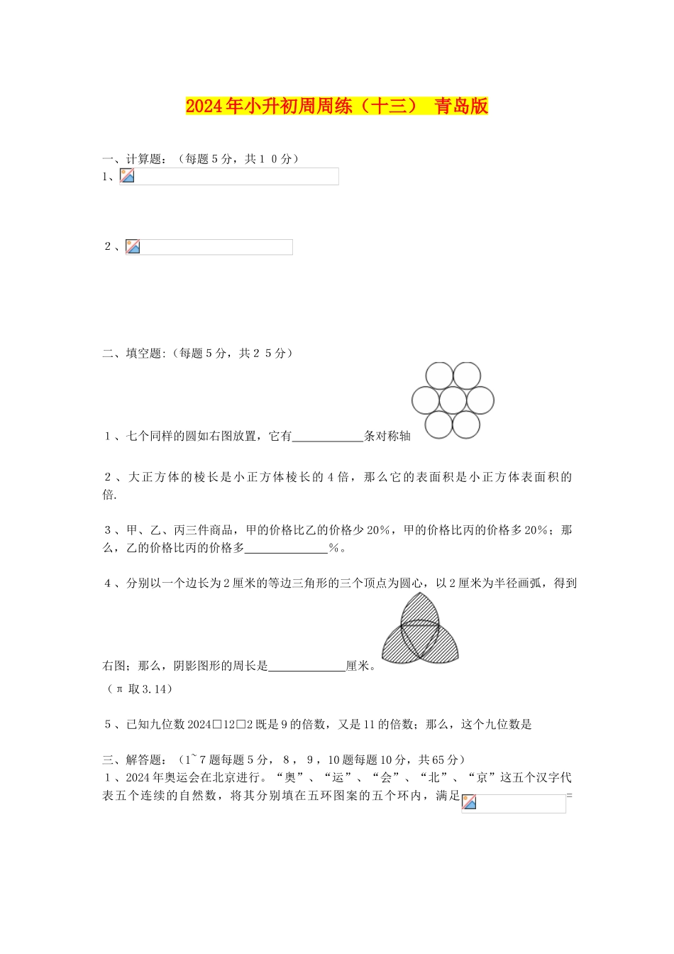 2024年小升初周周练(十三)-青岛版_第1页