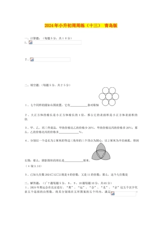 2024年小升初周周练(十三)-青岛版