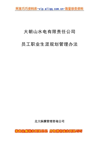 大朝山水电有限责任公司职业生涯规划