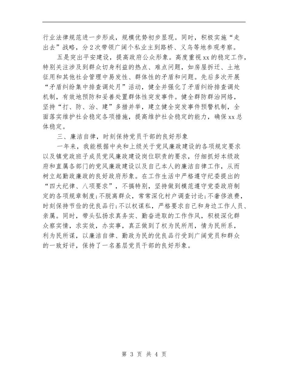 2024年镇长述职述廉报告_第3页