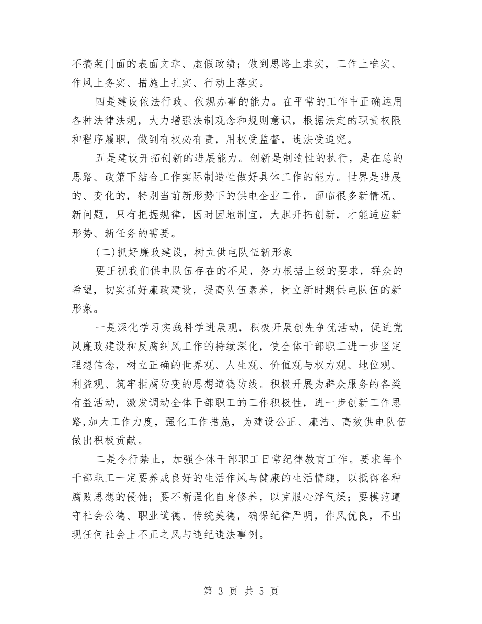 供电企业发展交流材料_第3页