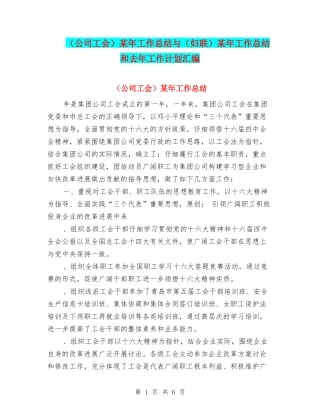 某年工作总结与(妇联)某年工作总结和去年工作计划汇编