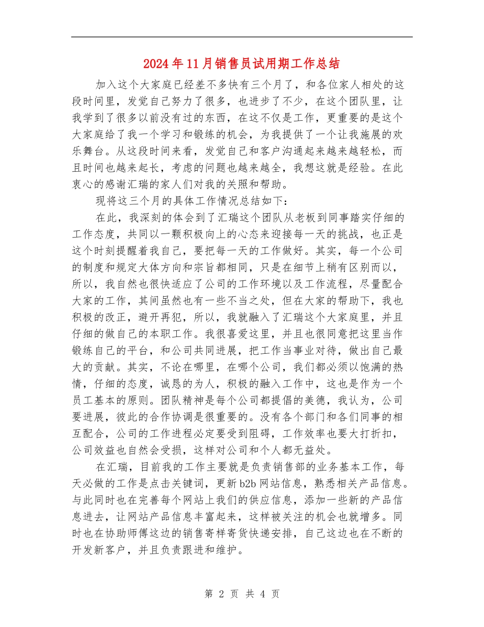 2024年11月销售员试用期工作总结【新版】_第2页