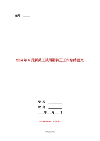 2024年6月新员工试用期转正工作总结范文