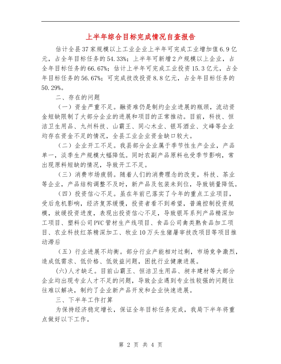 上半年综合目标完成情况自查报告_第2页