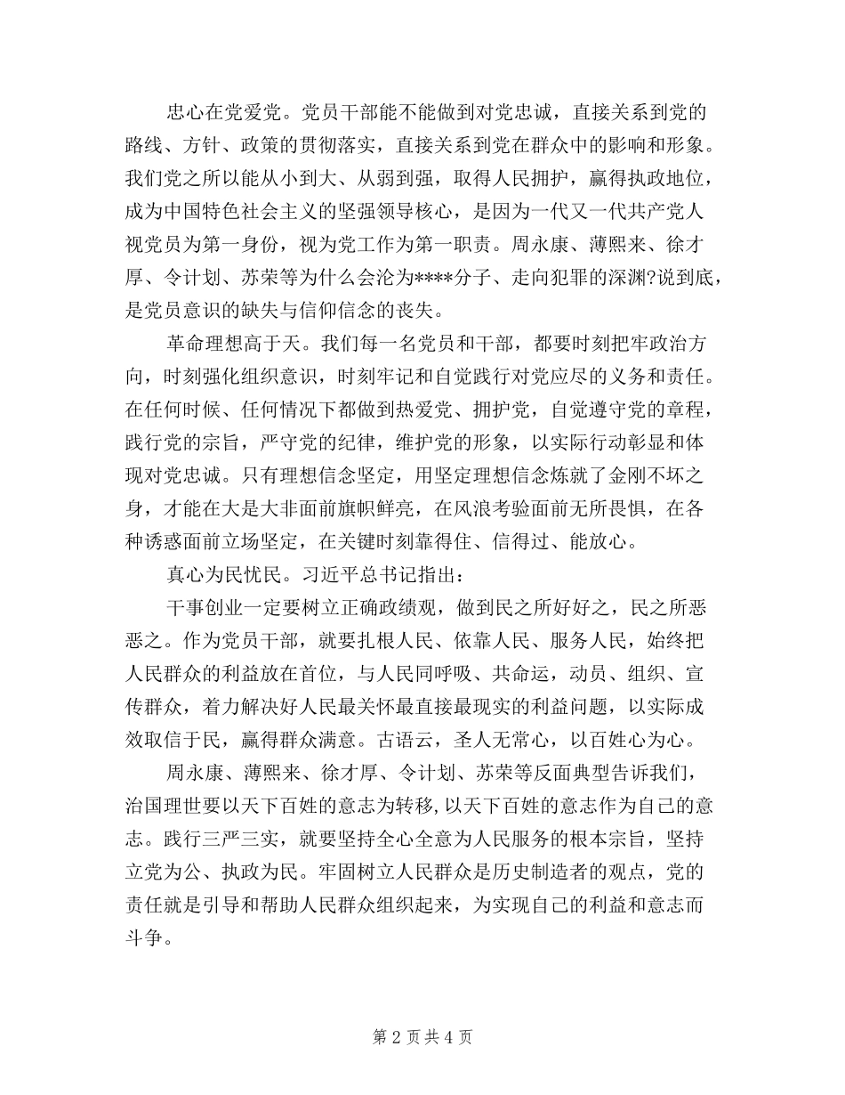 2024年8月三严三实反面典型心得体会范文_第2页