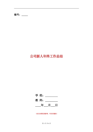 公司新人年终工作总结